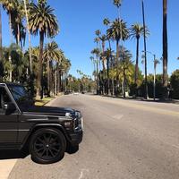 Отзыв от Владимир - виза ДТВ